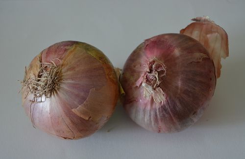onions vegetables market