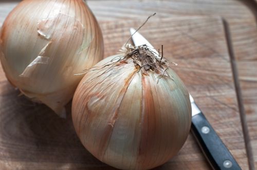 onions vidalia food