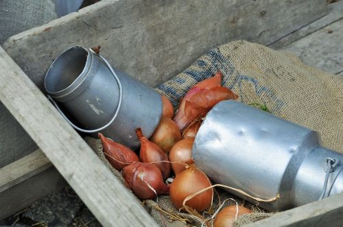 onions milk pot wheelbarrow
