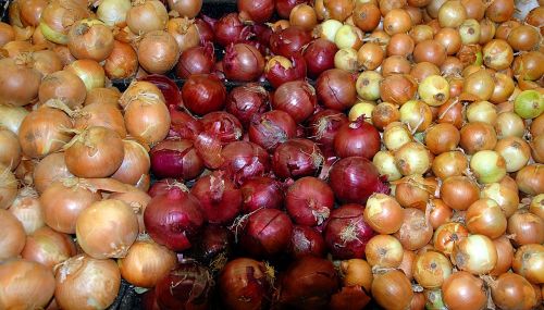 onions background market