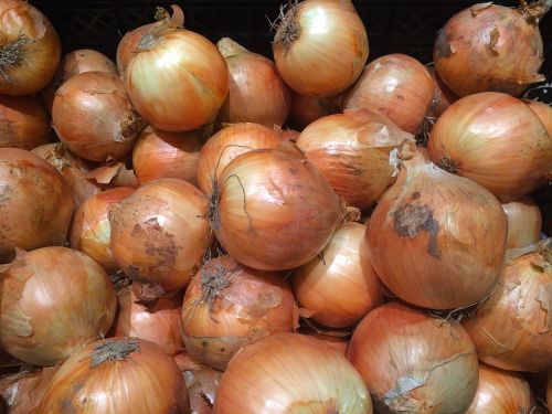 onions pile up vegetables