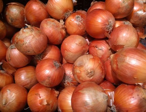 onions orange leather
