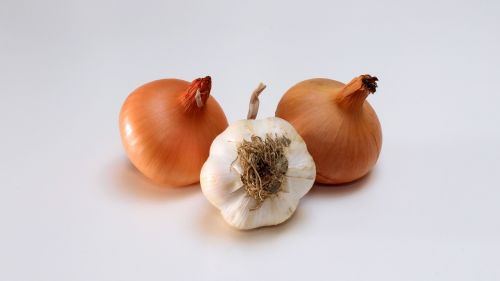 onions health food