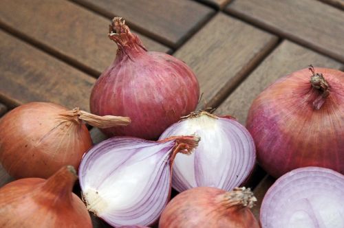 onions vegetable red