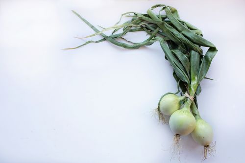 onions food healthy