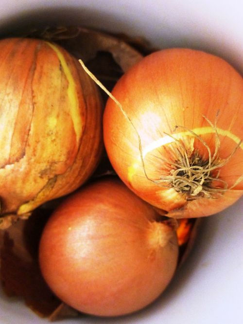 onions vegetables shell