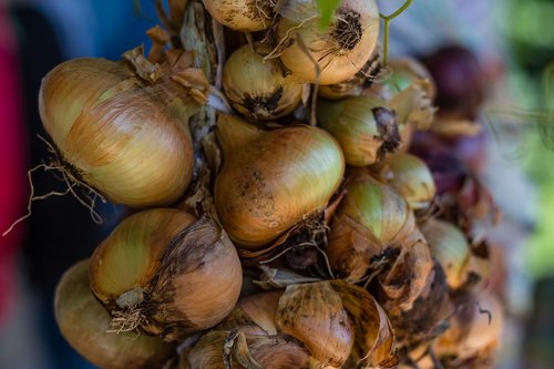 onions  vegetable  food