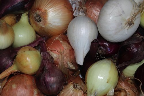 onions  vegetables  healthy