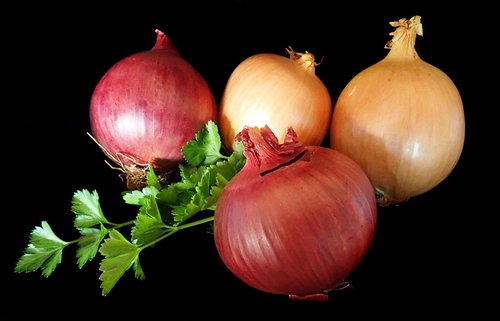 onions  red  brown