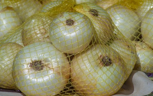 onions  net  vegetable