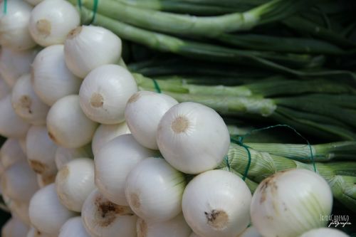 onions vegetable green