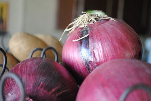 onions purple food