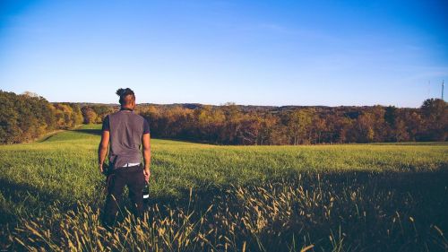 open field wideshot