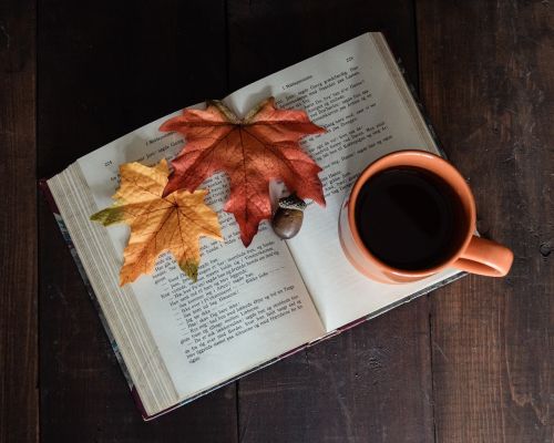 open book book mug