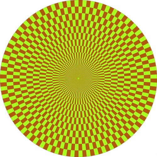 optical illusion pattern grid