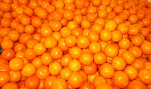 orange fruit