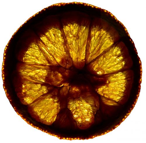 orange slice wheel