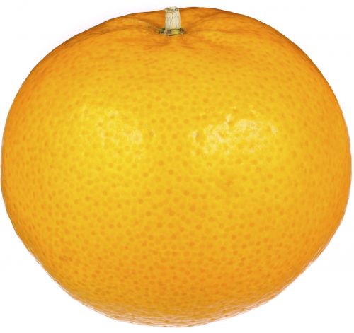 orange fruit fresh