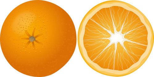 orange fruit mandarin
