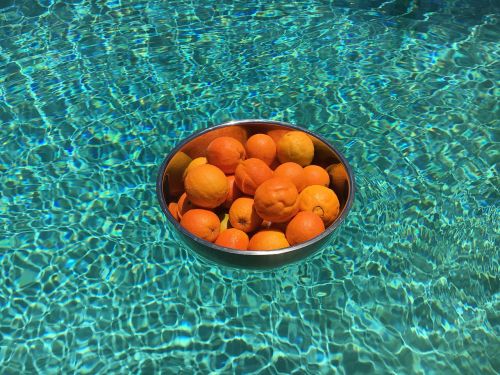 orange swimming pool metal bowl