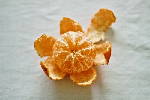 orange fruit fine