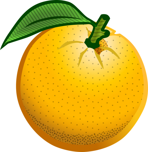 orange fruit sweet