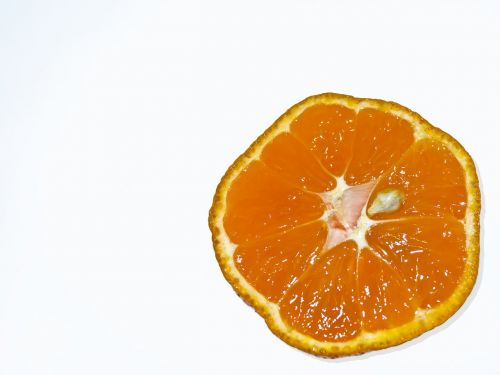 orange satsuma clementine