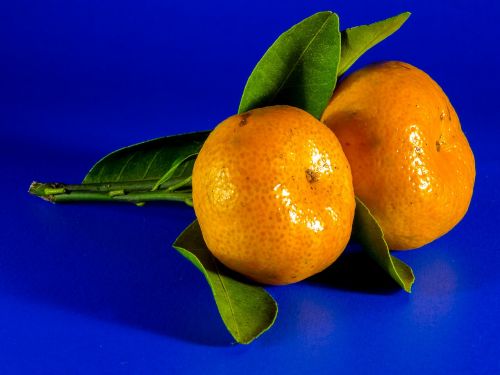 orange mandarin fruit