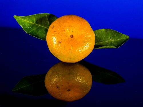 orange mandarin fruit