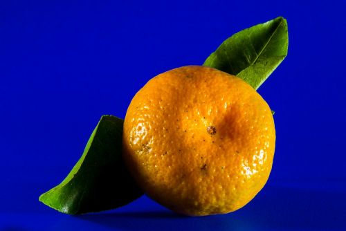 orange mandarin fruit