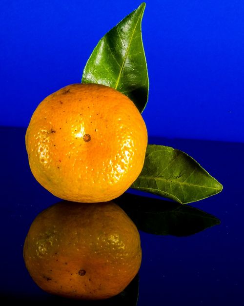 orange mandarin fruit