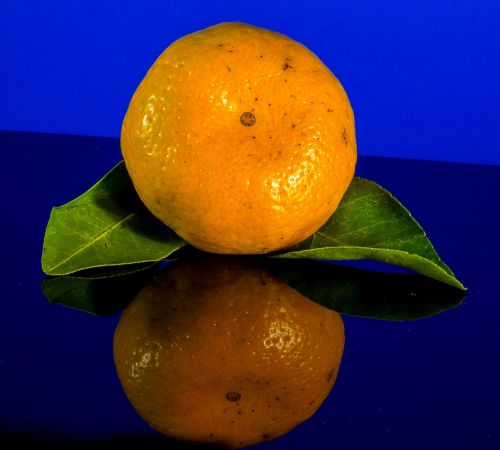 orange mandarin fruit