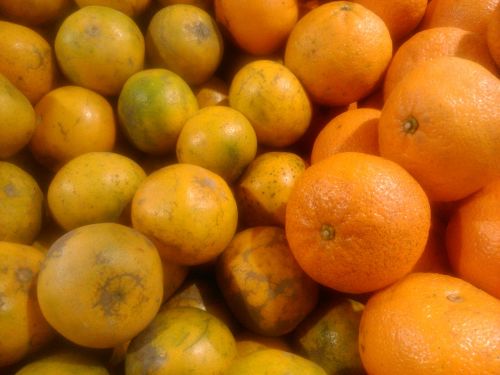 orange fruit lemon