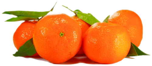 orange isolated fruit