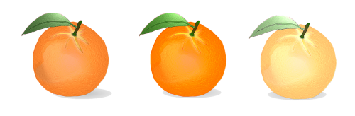 orange vector citrus fruits
