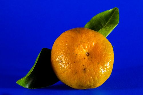 orange mandarin citrus fruit