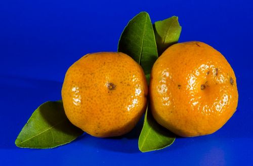 orange mandarin citrus fruit