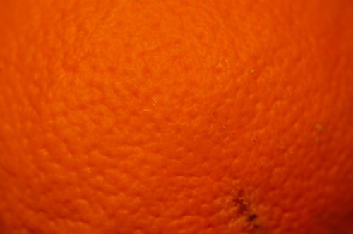orange orange peel fruit