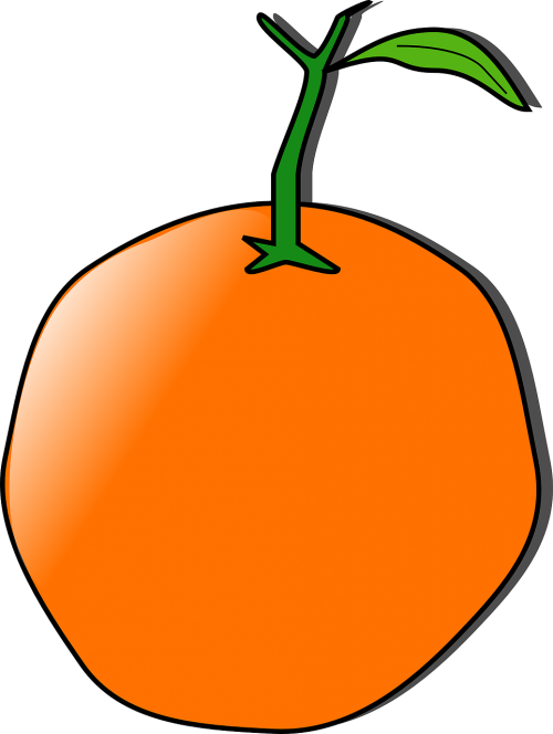 orange fruit tangerine