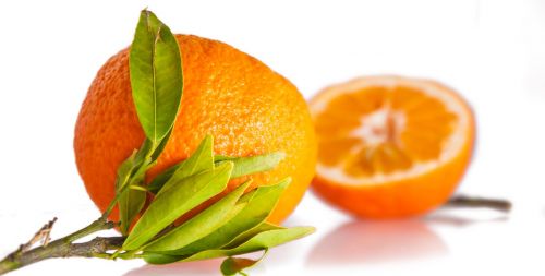 orange fruit fruits