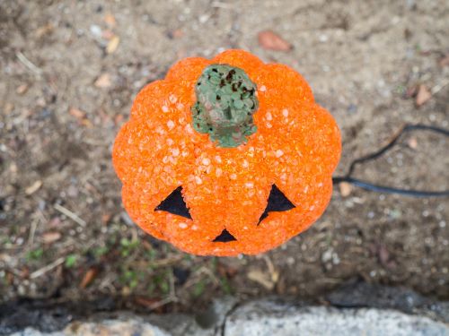 orange jewels pumpkin