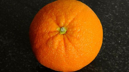 orange citrus fruit oranges