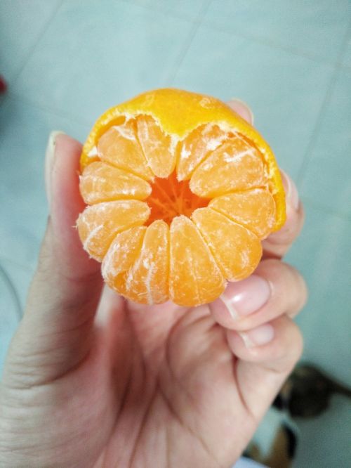 orange fruits sweet