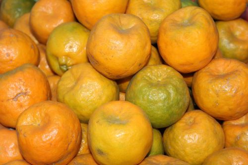 orange food organic
