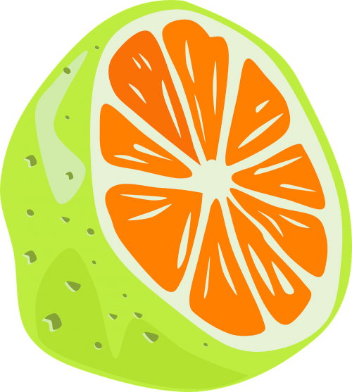 orange lemon food
