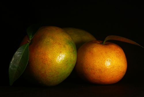 orange healthy fruit