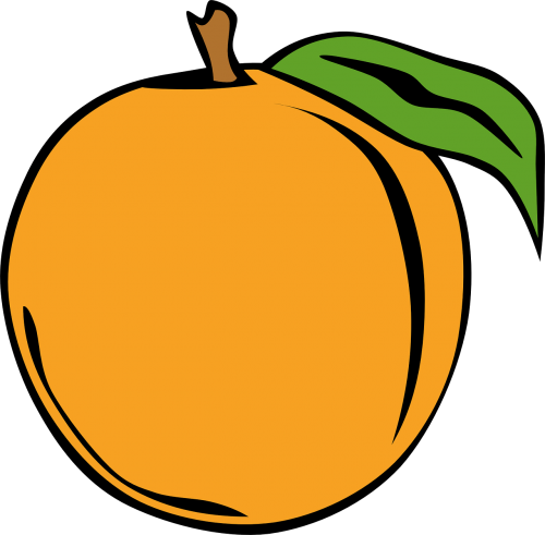 orange fruit edible