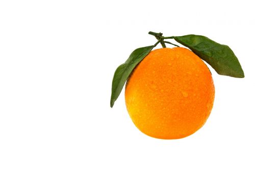 orange fruit leaf