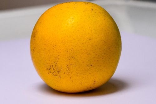 orange  fruit