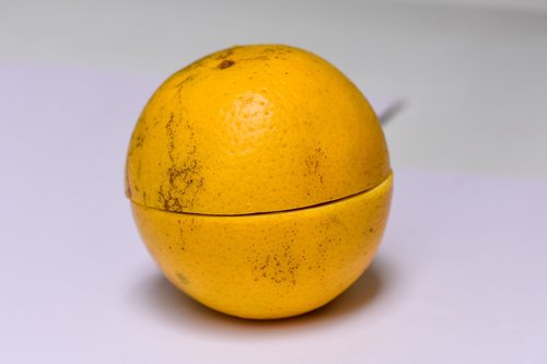 orange  fruit